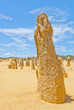 Pinnacles, Western Australia, a famous stone formation