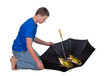 Foto: Two frogs in an umbrella Two frogs in an umbrella