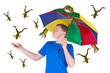 Foto: It is raining frogs It is raining frogs