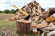 Pile of firewood in a forest