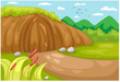 Meadow landscape