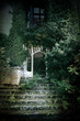 Photo: dark entrance dark entrance