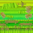 Eco green concept, cut off leave for save the world