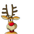 Reindeer