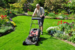 Senior mäht den Rasen im Garten