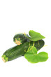 courgette