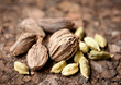Photo: Green and black cardamom Green and black cardamom