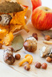 Variation of mushrooms and nuts