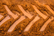 Tractor trail closeup on the muddy ground  after rain