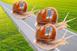 The snails with mobil home on the road.