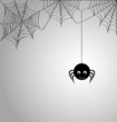 Cute spider and webs over gray background