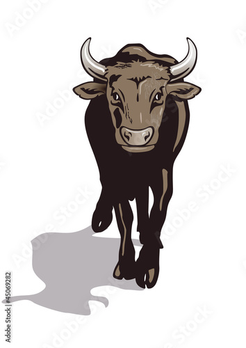 Vector: Stier Stier