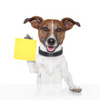 sticky note banner dog