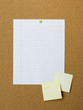 Blank adhesive notes and lined paper pinned to notice board
