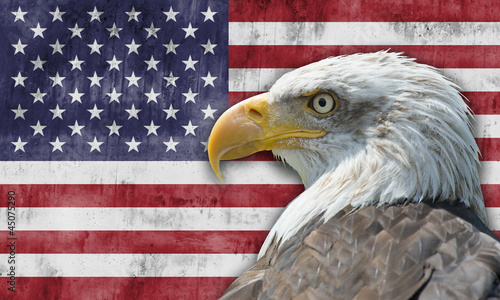 Foto: Bandera de los Estados Unidos de América con el águila calva Bandera de los Estados Unidos de América con el águila calva