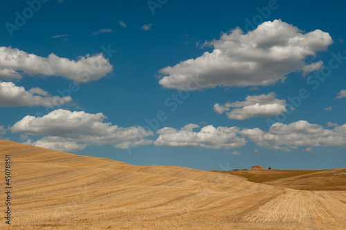 Photo: typical tuscan landscape typical tuscan landscape