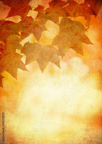 Photo: grunge background with autumn leaves grunge background with autumn leaves