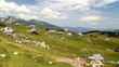 Beautiful day in the mountains with cabins and people.