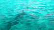 Wasseroberfläche Schwimmbad HINTERGRUND 3