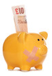Photo: Piggy bank with plaster and ten pound note Piggy bank with plaster and ten pound note