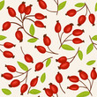 Rosehip seamless background
