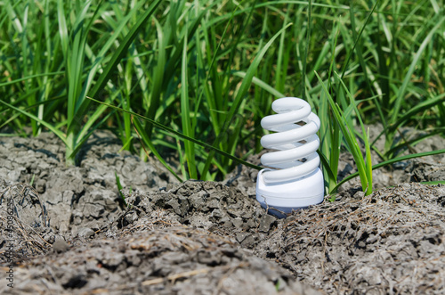 Photo: concept light bulb between drought land and green grass concept light bulb between drought land and green grass