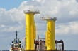 Photo: sea jack sea jack