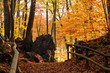 Hemer Felsenmeer im Herbst