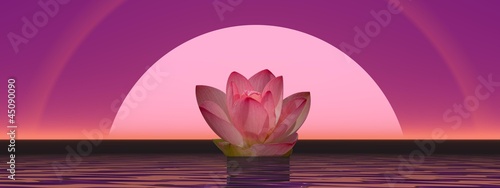 Illustration: Lily flower and moonlight Lily flower and moonlight