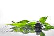 background of a spa with stones, and a sprig of green bamboo