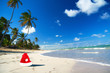 Santa hat on caribbean beach