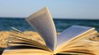 Book of sand