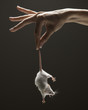 Young woman's hand holding mouse