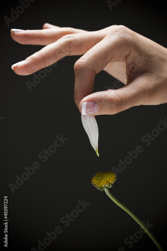 Photo: Young woman's hand plucking petal from flower Young woman's hand plucking petal from flower