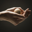 Egg in young woman's hands
