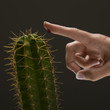 Young woman's hand touching cactus spike