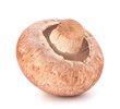 Brown champignon mushroom