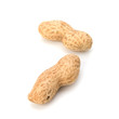 Peanut