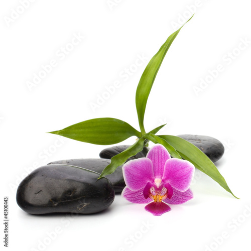 Photo: Zen pebbles path. Spa and healthcare concept. Zen pebbles path. Spa and healthcare concept.