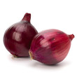 Red onion tuber
