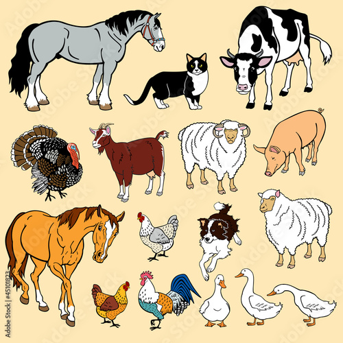 Vector: vector set with domestic animals vector set with domestic animals