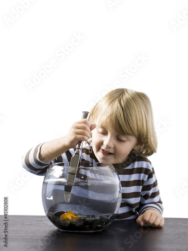 Photo: "USA, Utah, Provo, Boy (2-3) stabbing goldfish with knife" "USA, Utah, Provo, Boy (2-3) stabbing goldfish with knife"