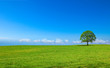 Paysage de campagne panoramique C