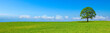 Paysage de campagne panoramique B