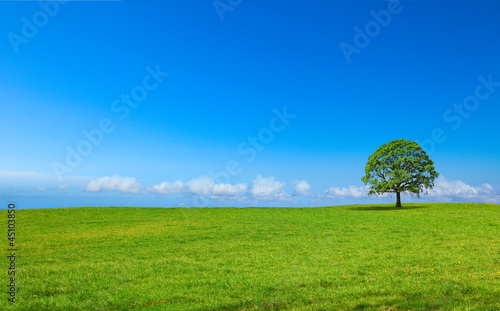 Photo: Paysage de campagne panoramique C Paysage de campagne panoramique C