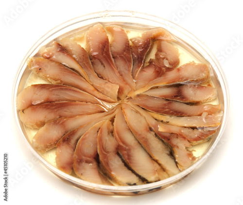 Photo: herring in oil on a white background herring in oil on a white background
