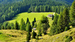 Dolomiti - radura a Carezza - Passo di Costalunga, Italia