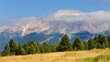 Dolomiti  - Monte Latemar dal passo di Lavazè