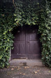 Door overgrown with ivy