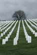 USA, Virginia, Arlington, Arlington National Cemetery